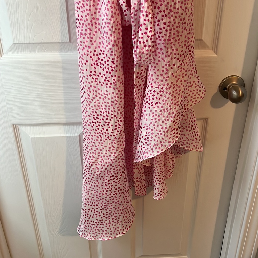Express Dress - Picture 4 of 4